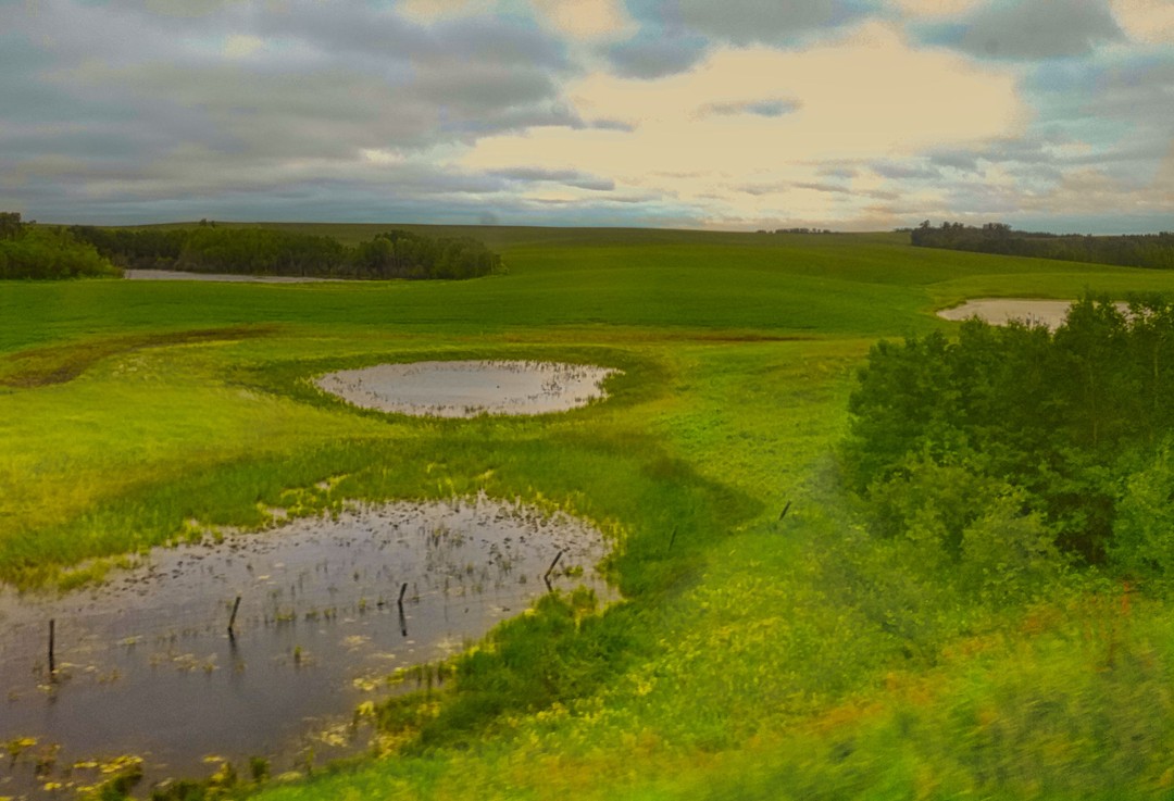 This photo is about 1 km west of the Alberta-Saskatchewan border.⠀
⠀
⠀
⠀
⠀
⠀
⠀
⠀
⠀
⠀
⠀
⠀
⠀
#naturewalks #naturescape #nature_photography #nature_love #naturestagram #natureisamazing #natureisawesome #naturephotograph #nature_obsession_landscapes #nature_lover #wildernesstones #wildernessvibes #wildernessnation #wildernesslife #wildernessquest #outdoorsociety #wunderlust #wunderlustphotography #exploreeverywhere #crosscanada #oh_canada #albertaparks #hikealberta #albertaviews #albertalife #beautifulalberta #albertaprairies